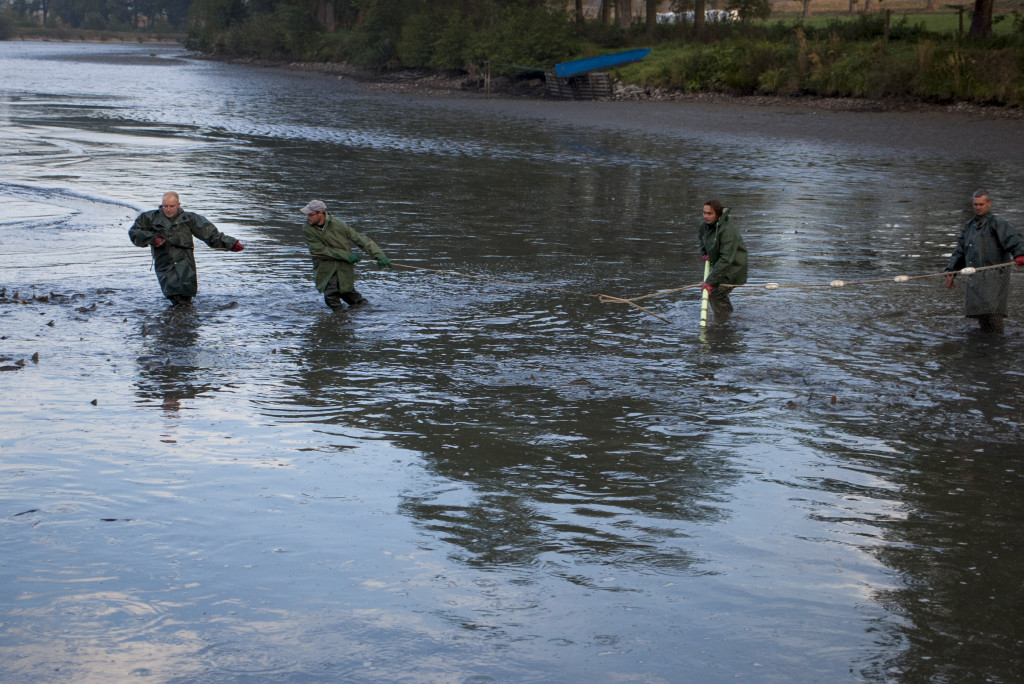 IMGP4024